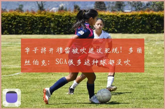 华子挤开穆雷被吹进攻犯规！多丽丝伯克：SGA很多这种球都没吹