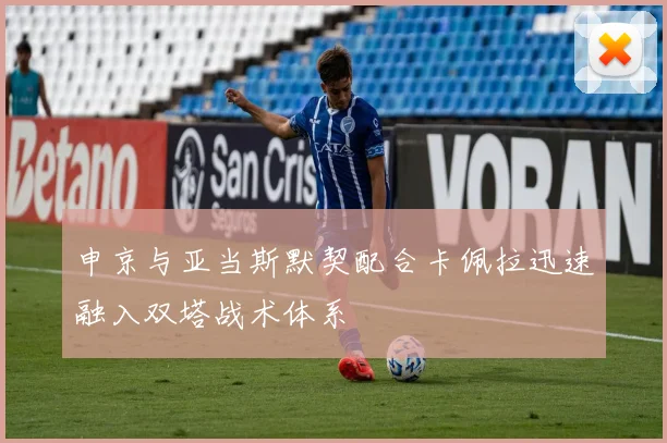 申京与亚当斯默契配合卡佩拉迅速融入双塔战术体系