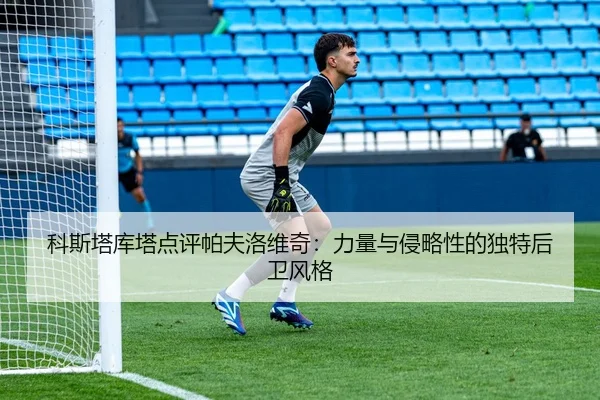 科斯塔库塔点评帕夫洛维奇：力量与侵略性的独特后卫风格（AYXSPORTS）